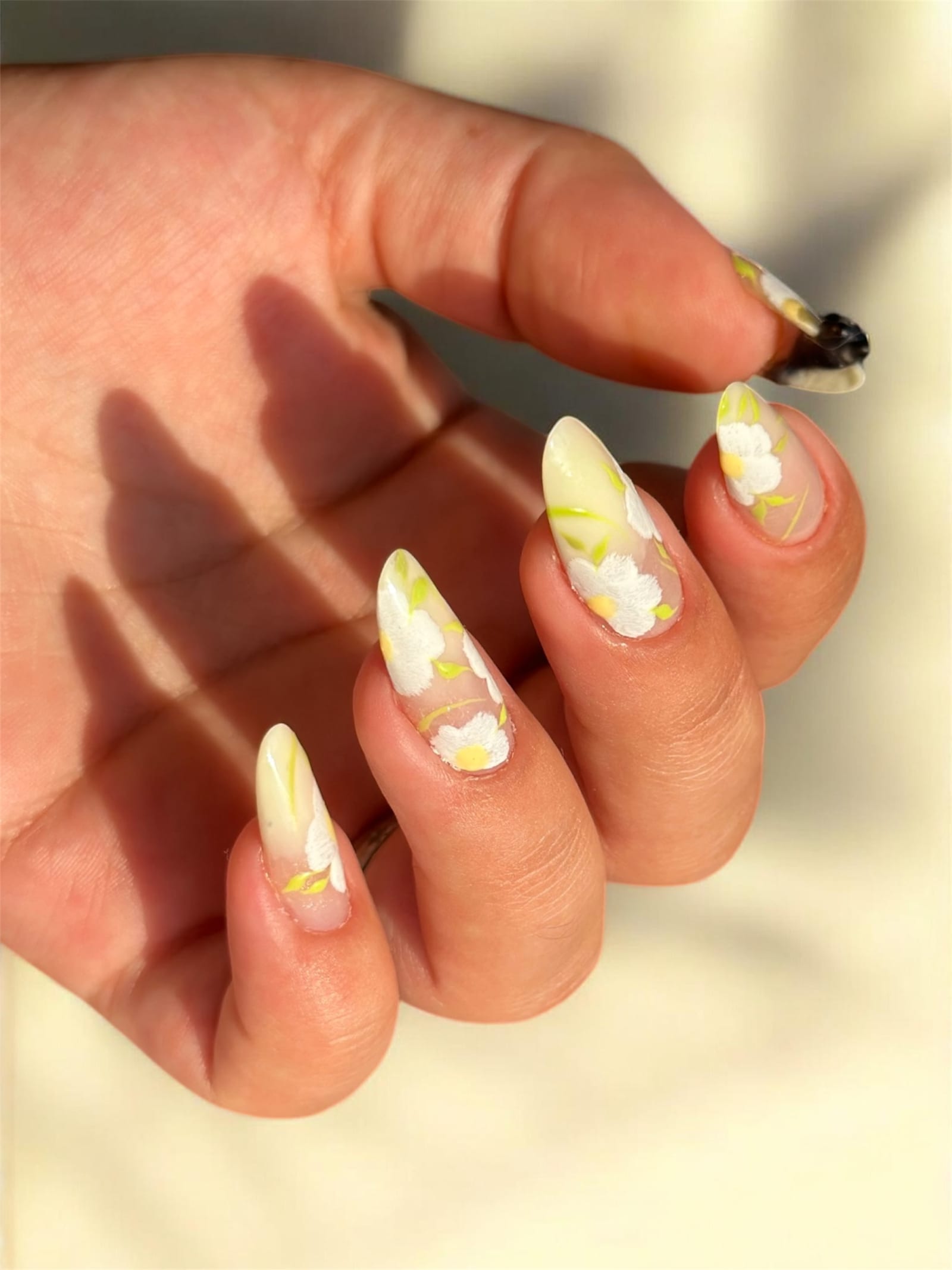 Baby Color jaunes & Fleurs blanches